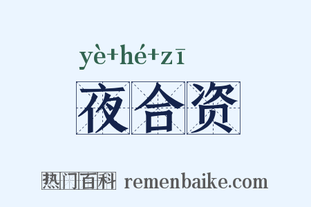 夜合资是什么意思的图片
